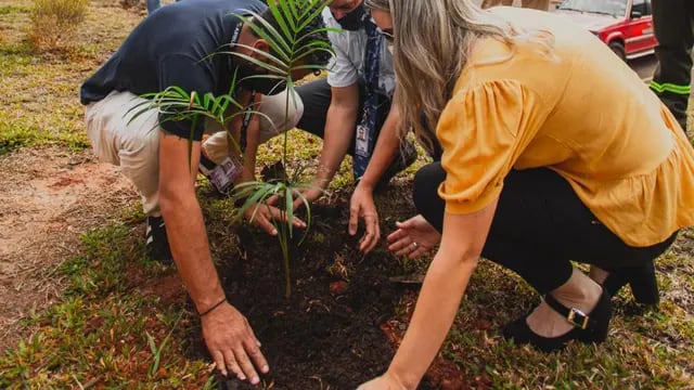 Plantaron 146 plantines de especies nativas en el Aeropuerto de Iguazú