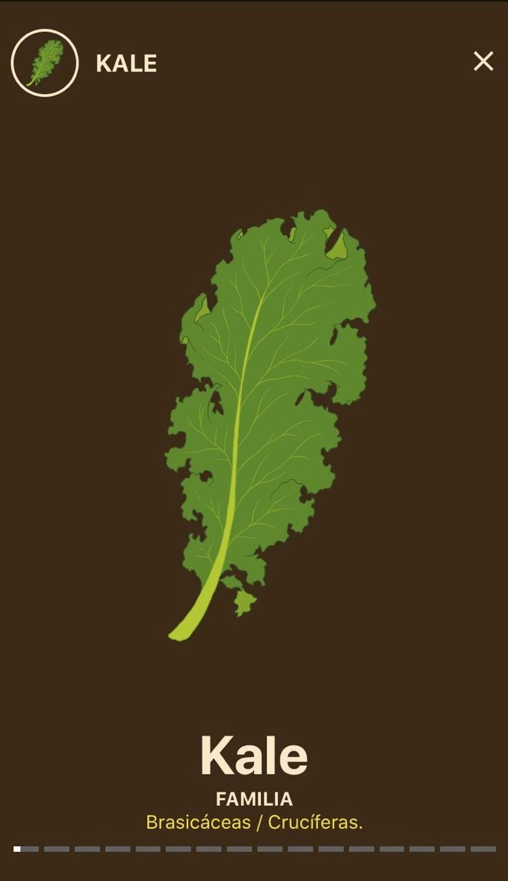 Verdura Kale (123RF)