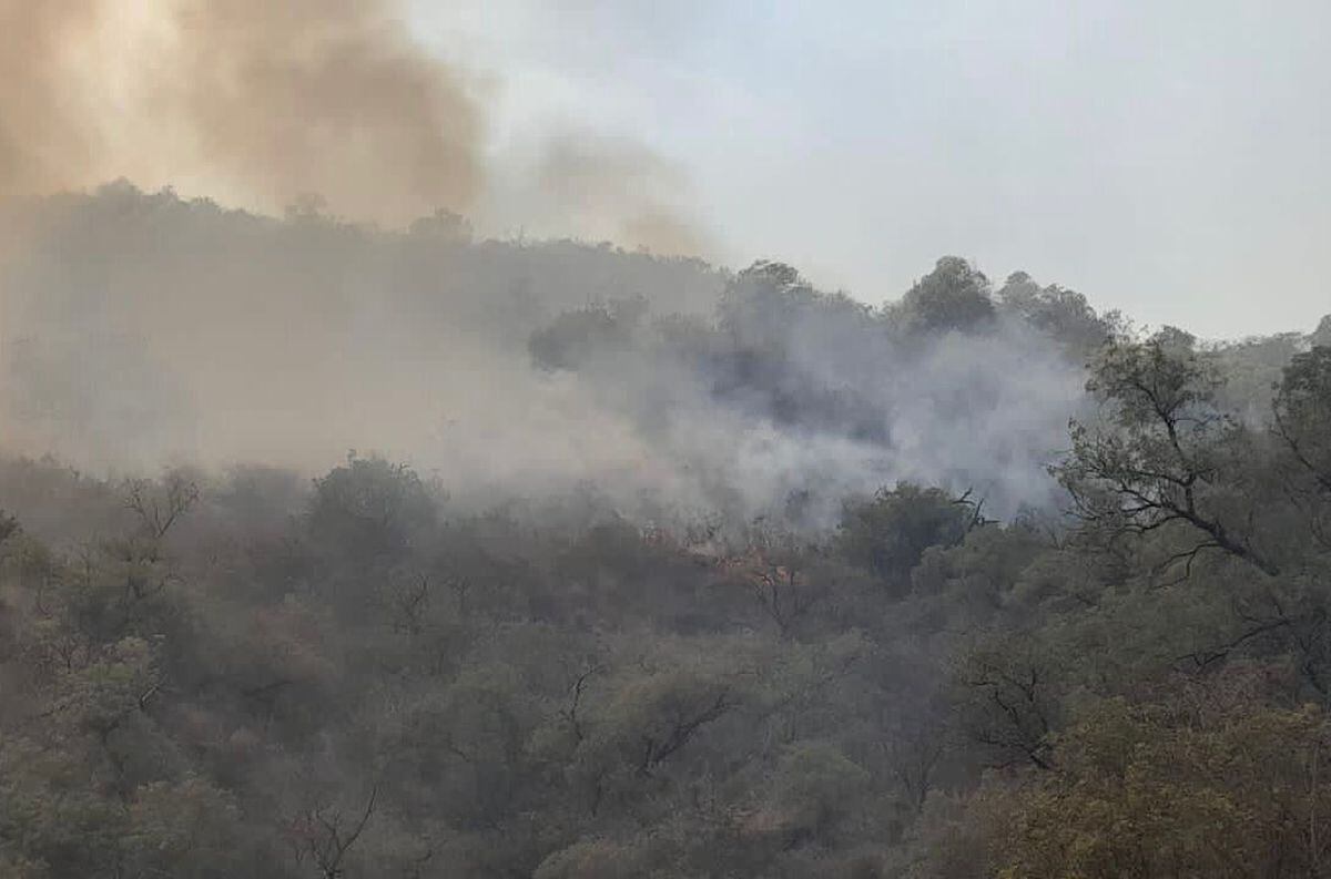 Los incendios en Valle Fértil quemaron más de 5 mil hectáreas.