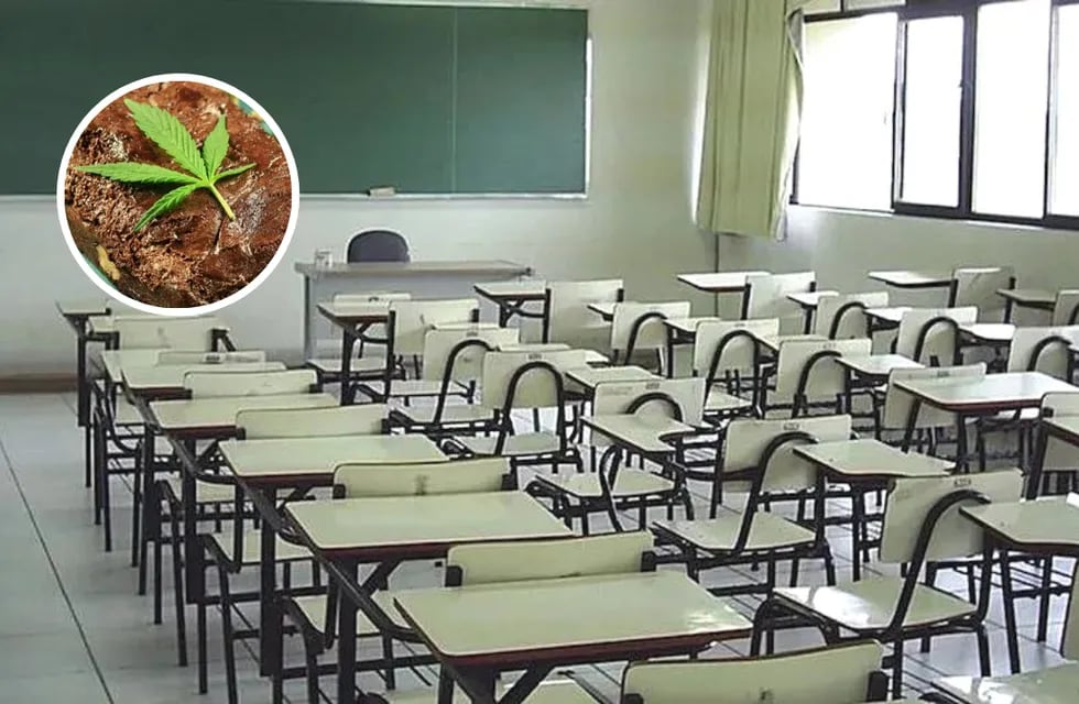 Estudiante chubutense llevó brownies con marihuana a la escuela y sus compañeros se intoxicaron.