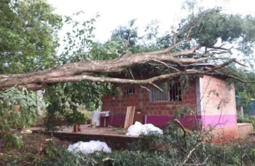 Un árbol aplastó una casa en el medio del temporal en Misiones. (Foto: El Territorio)