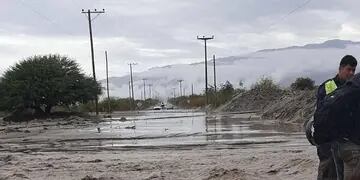 Estado de la ruta en Animaná - Salta