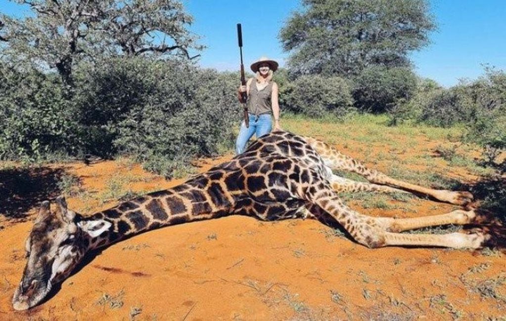 La mujer cazó a una jirafa de 17 años y posó con el corazón.