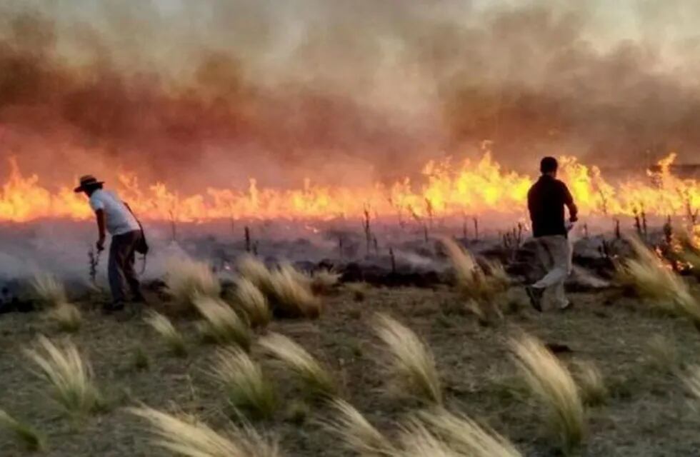 Incendios en La Pampa (Clarín)