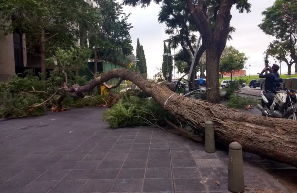 El viento volvió a provocar destrozos en Rosario. (Archivo)