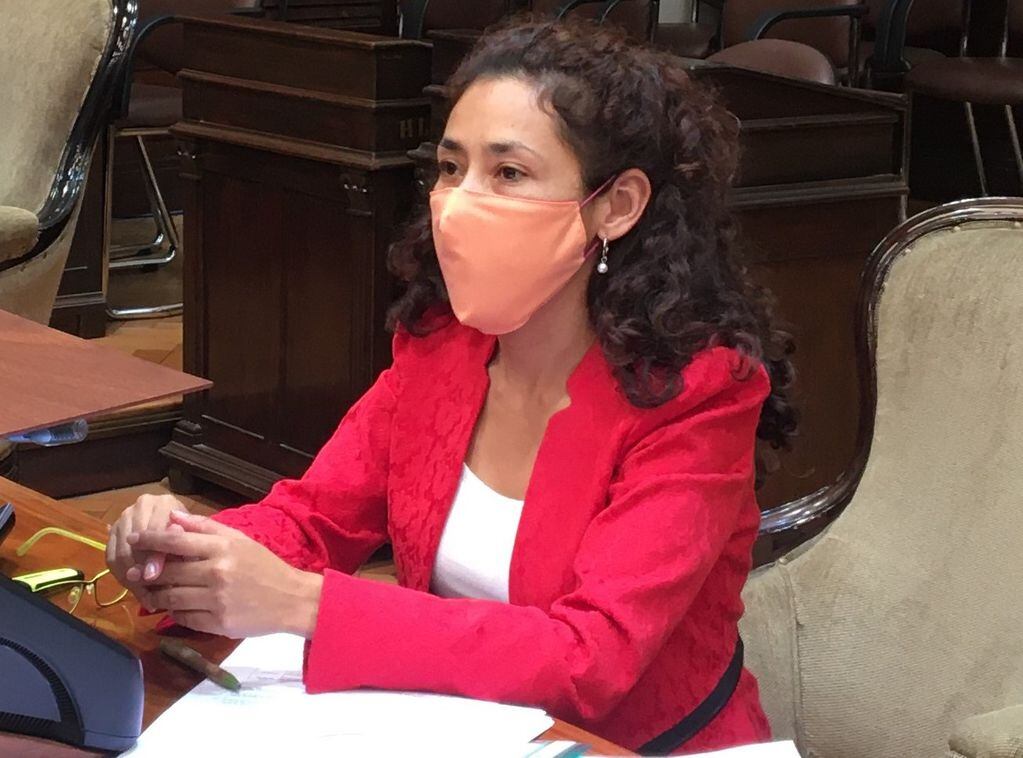 La diputada Victoria Luna Murillo, de la bancada Frente Cambia Jujuy, defendió el proyecto enviado por el Poder Ejecutivo.