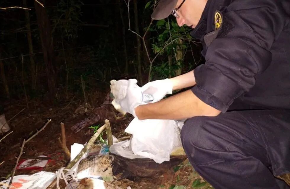 Gobernador Roca: encuentran restos óseos que podrían ser de un jubilado desaparecido.