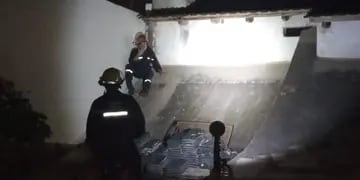 Gato rescatado por bomberos