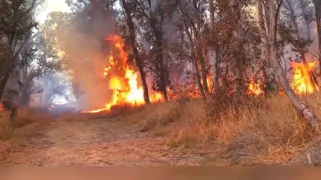 Incendio al norte de Arroyito