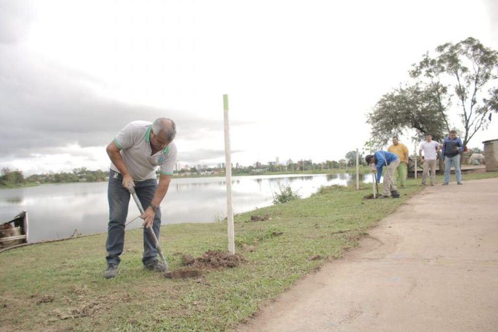 Sólo en la Laguna de Villa Prosperidad se plantaron 80 árboles.