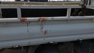 Perro fue arrastrado por el chofer de una camioneta. (Policía)