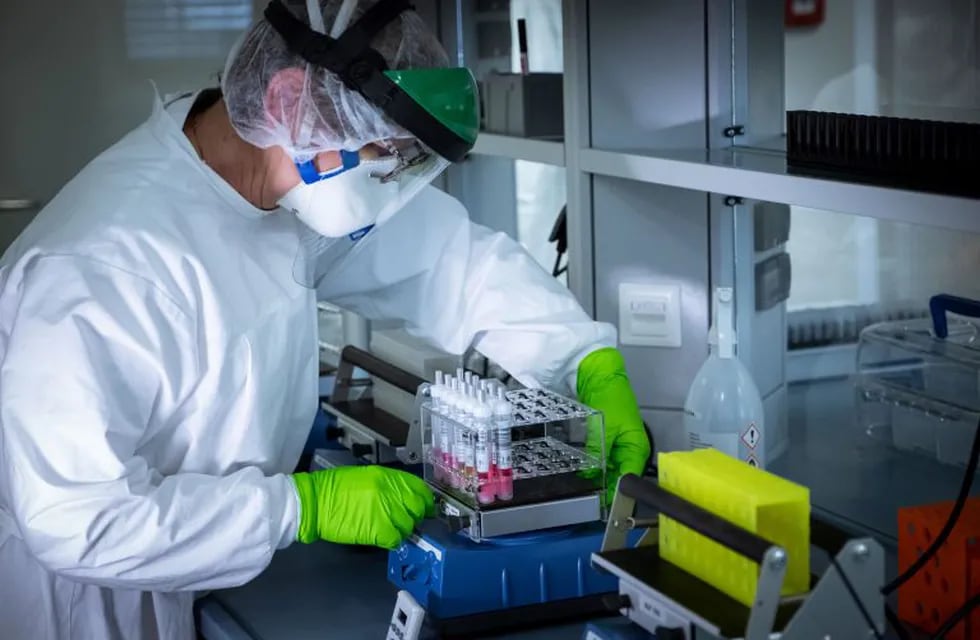 01/04/2020 Un trabajador de un laboratorio prepara muestras para su análisis durante la crisis de coronavirus. POLITICA INTERNACIONAL Peter Steffen/dpa