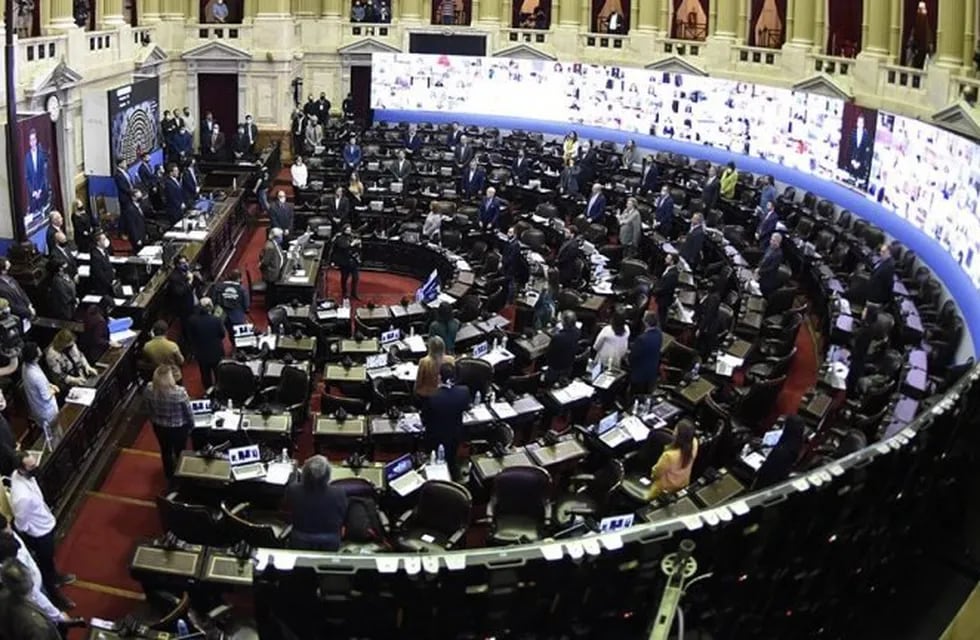 Cámara de Diputados de la Nación Argentina en su primera sesión virtual