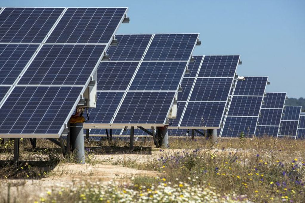Paneles solares para la generación de energía
