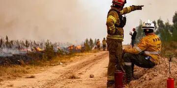 Los bomberos cordobeses del Etac que participan del combate a las llamas en Corrientes. (Prensa Gobierno)