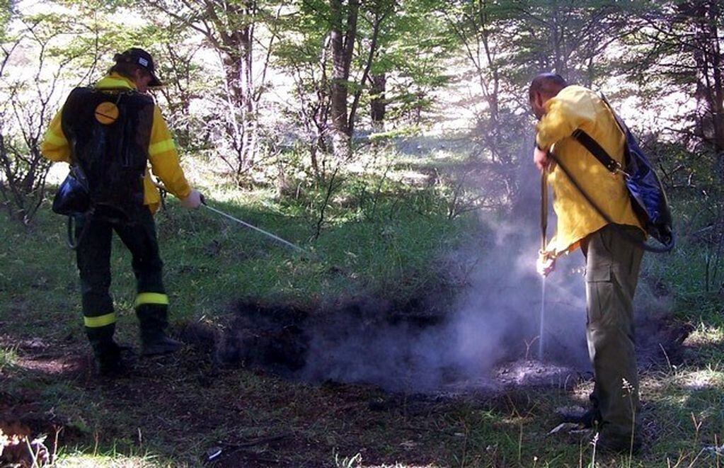 Personal del Parque Nacional Los Glaciares extrema las precauciones para evitar incendios.
