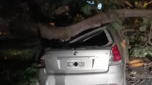 Una rama de un árbol aplastó a un auto en Rafaela
