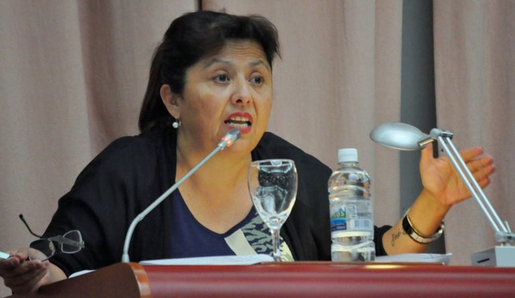 Viviana Navarro, diputada provincial