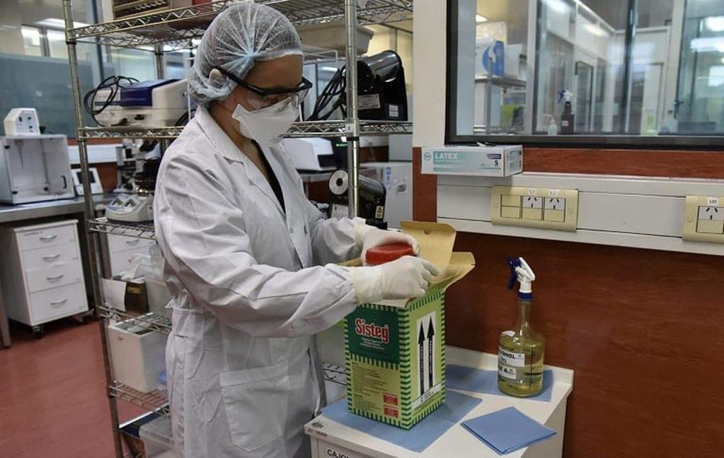 Expertos en infectología realizan test de coronavirus en el Instituto Malbrán. (Ministerio de Salud)