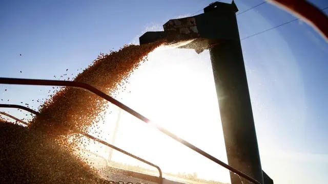 GRANOS. La cosecha de maíz de la última campaña fue muy buena, incluso superó en volumen a la de soja. (Ministerio de Agricultura de la NaciónI)