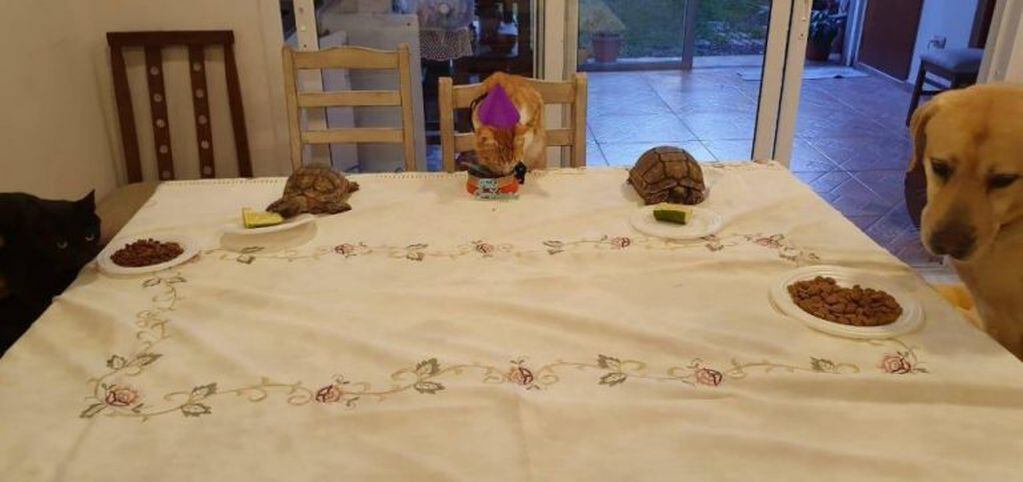 La mesa servida para Milo, el agasajado y sus invotados. En las redes sociales, la foto fue compartida una infinidad de veces.