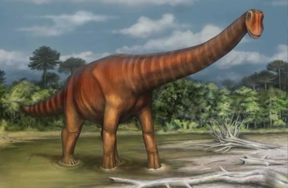 Así habría sido en vida Choconsaurus baileywillisi en la zona donde hallaron los restos.