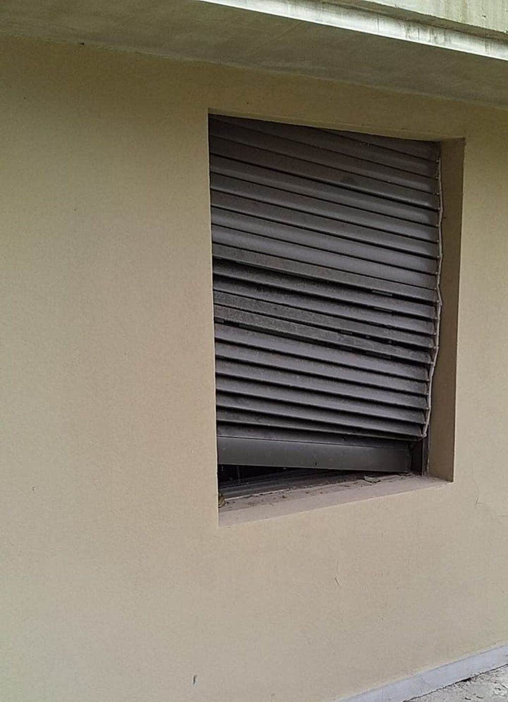 El ladrón entró por la ventana de un edificio anexo a la Casa Gris. (@movil_kike)