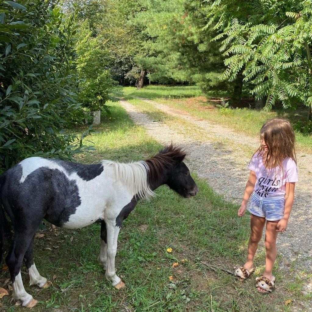 Francesca Icardi junto a su pony. (Instagram/@wanda_icardi)