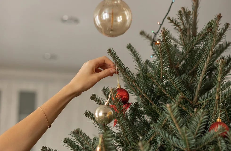 Armar un árbol de Navidad aumentó casi un 100 por ciento en el último año.