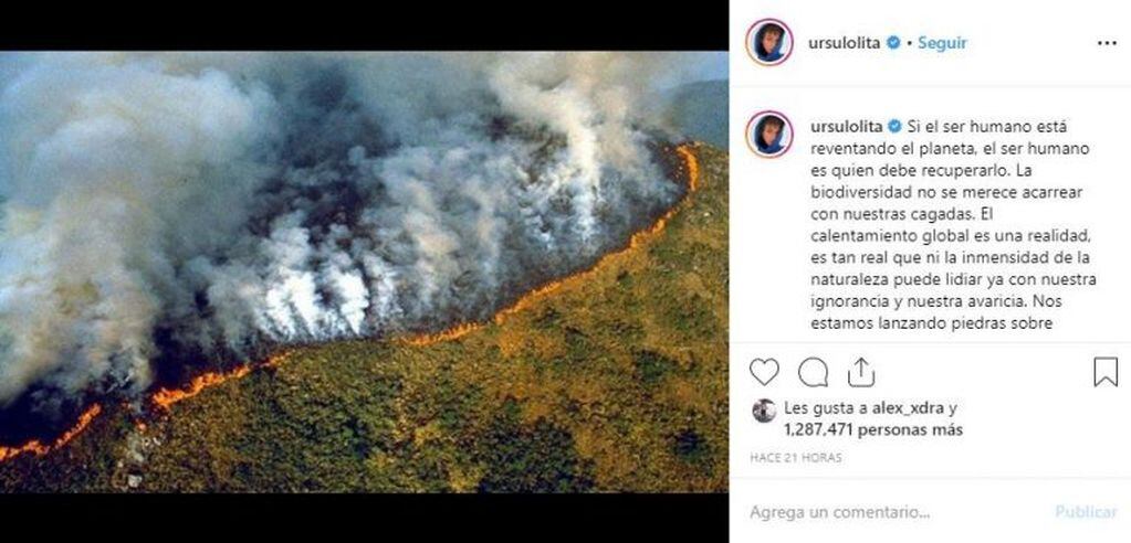 Los famosos llaman a concientizar sobre los incendios en el Amazonas (Instagram)