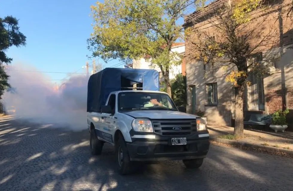 La Municipalidad de San Francisco está realizando tareas de fumigación para prevenir el dengue.