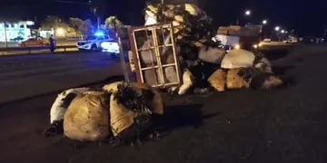 San Vicente: volcó un camión que transportaba raídos de yerba mate
