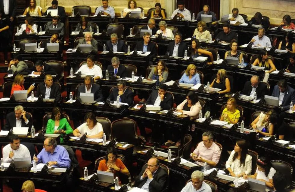 Diputados debate del proyecto de sostenibilidad de la deuda. (Federico López Claro)