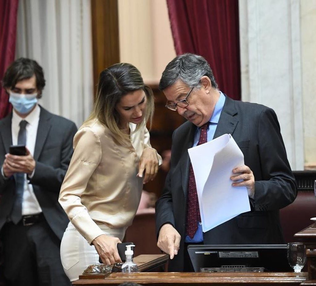 La representante de Juntos por el Cambio ocupó el lugar de Cristina Fernández de Kirchner a cargo de la sesión del último jueves.