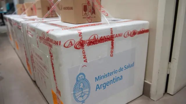 Llegaron las primeras dosis de la vacuna Sputnik V a Mendoza