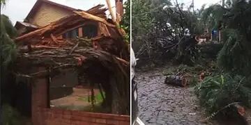 Bernardo de Irigoyen, San Pedro, Fracrán y San Vicente los municipios más afectados por el temporal