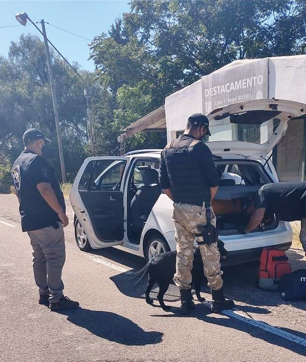 Operativo de control antidroga en Monte Comán con ayuda del perro Anahí.
