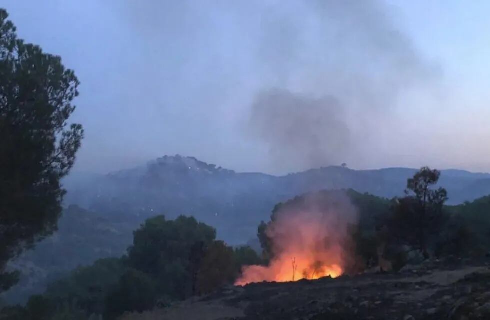 Incendio Forestal - El Hoyo