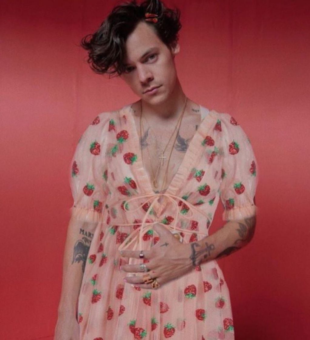 Harry Styles luciendo el vestido estampado de frutilla (Instagram/@lirika.matoshi)