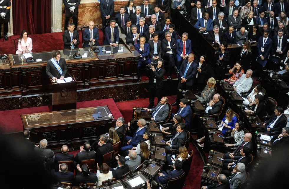 El presidente Javier Milei volverá a enviar al Congreso la "ley ómnibus" (Foto: Federico López Claro)