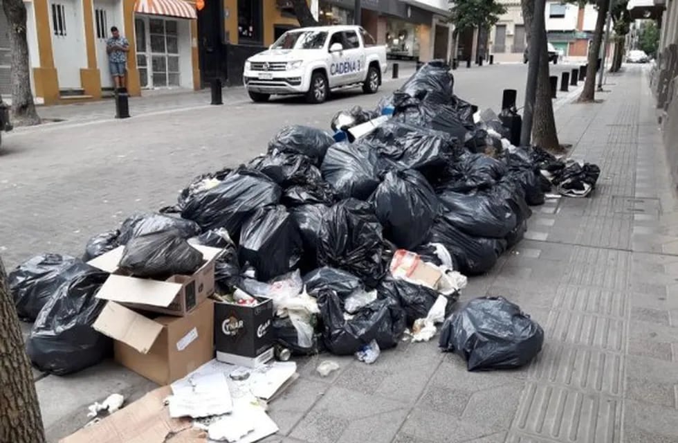 Al problema de la basura se suma otro problema crónico de Córdoba: los perros callejeros que se hacen un festín con las bolsas