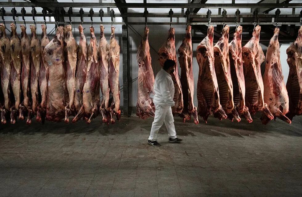 La industria de la carne reclama volver a exportar sin restricciones.