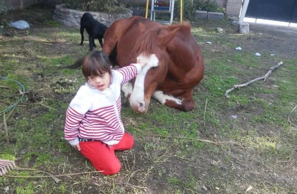 La yegua robada a Fada se llama Delfina y pertenece a la familia Llorens.