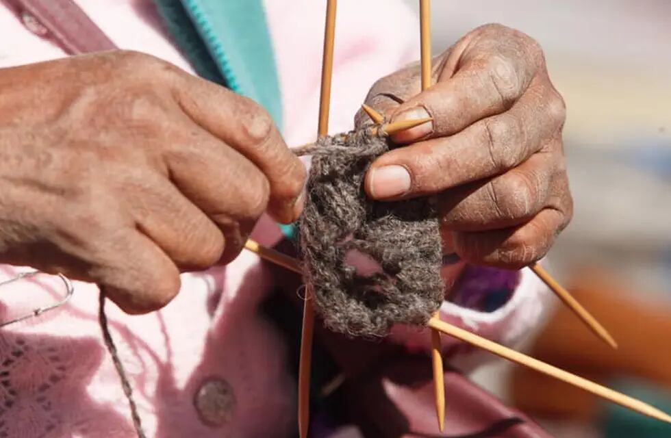 La tradición textil de la Quebrada de Humahuaca es eje de la muestra temporal “La crianza mutua. Cultivo, domesticación y amparo textil” que ofrece el Museo Terry de Tilcara (Jujuy).