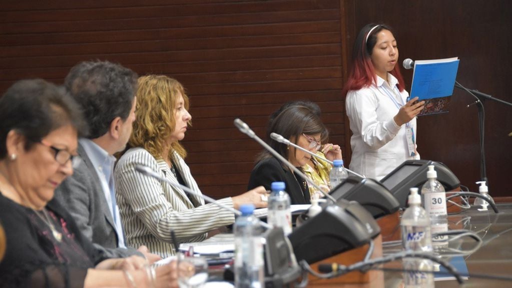 Los miembros del Parlamento Juvenil de Jujuy se proponen participar "con valores y actitudes que nos ayuden a lograr una participación productiva y beneficiosa", dijo la alumna Ariadna Figueroa en la apertura de las actividades.
