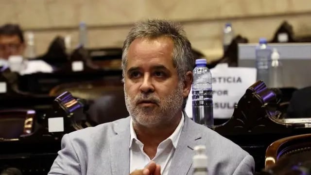 Diputado nacional Topo Rodríguez