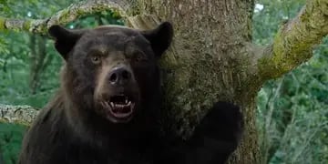 Cocaine Bear, la nueva película de Universal Pictures