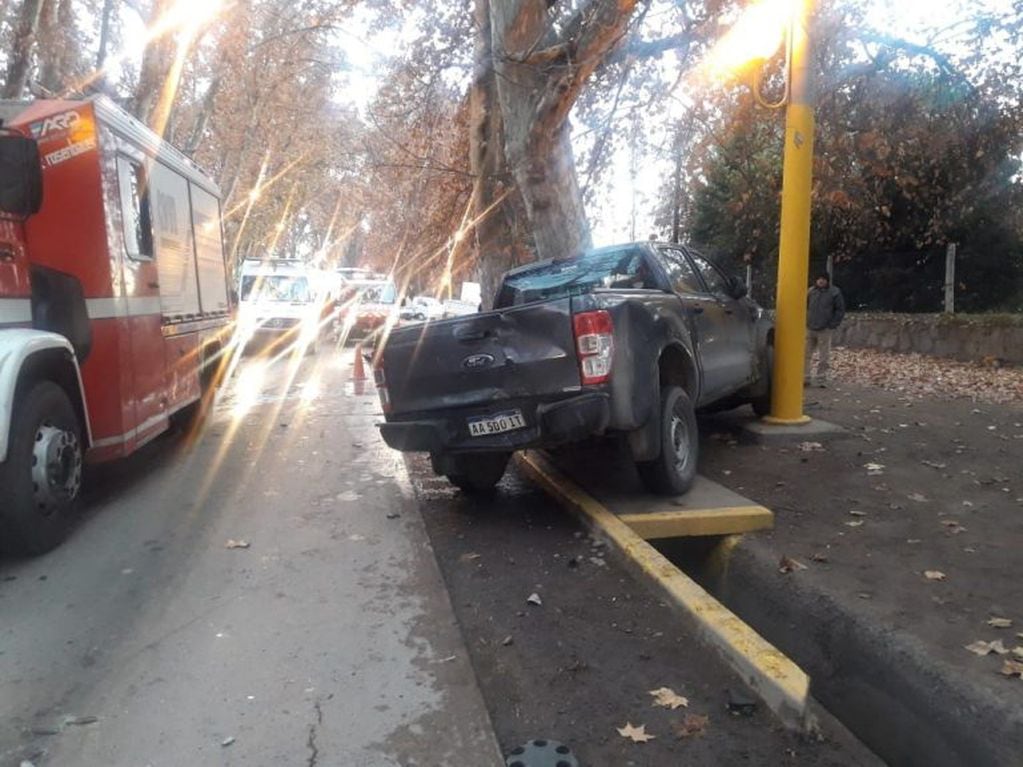 La camioneta Ford Ranger detuvo su marcha entre un poste y un árbol.