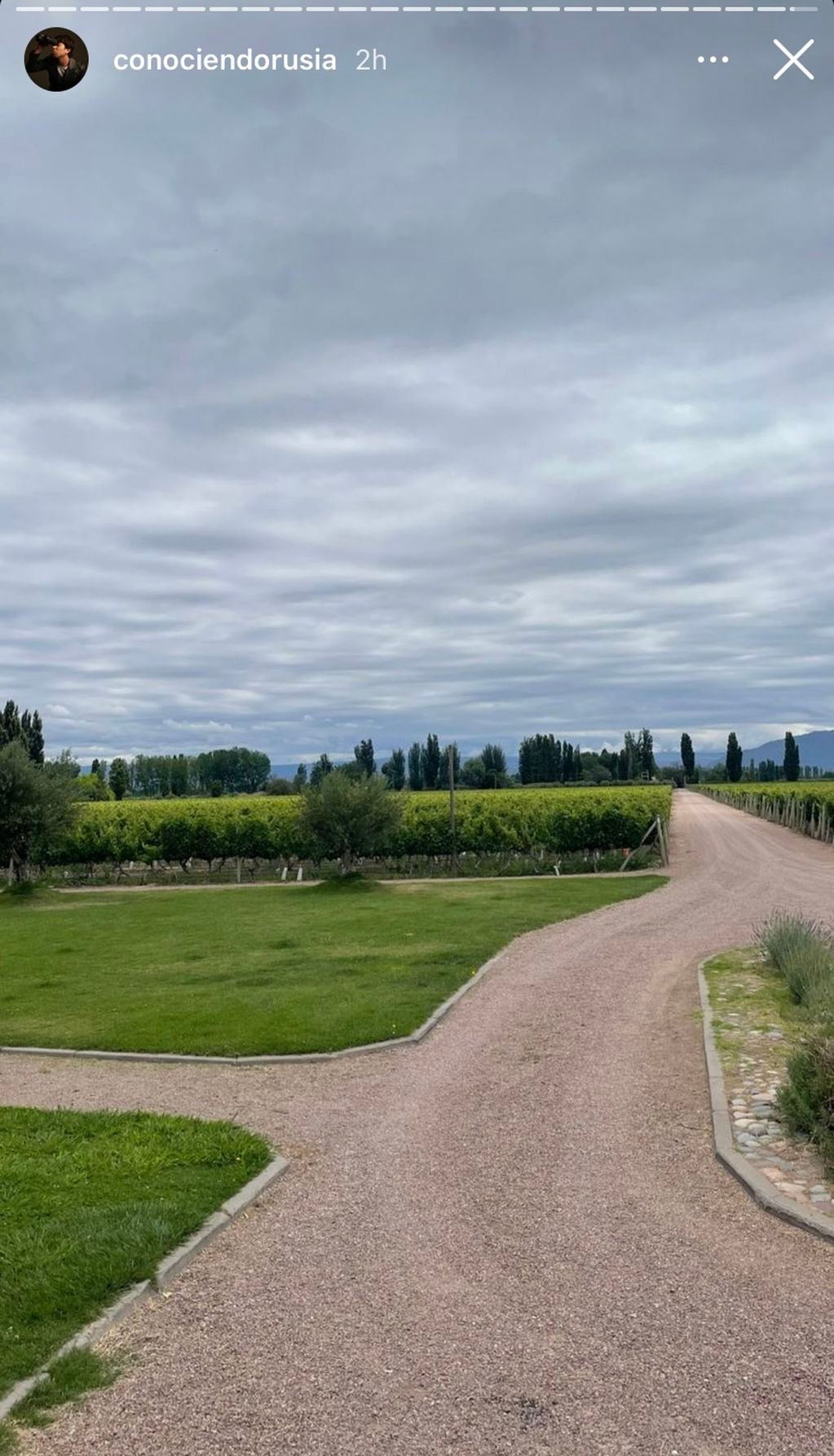 El artista compartió fotos de su estadía en Mendoza, donde el vino fue la estrella principal. 