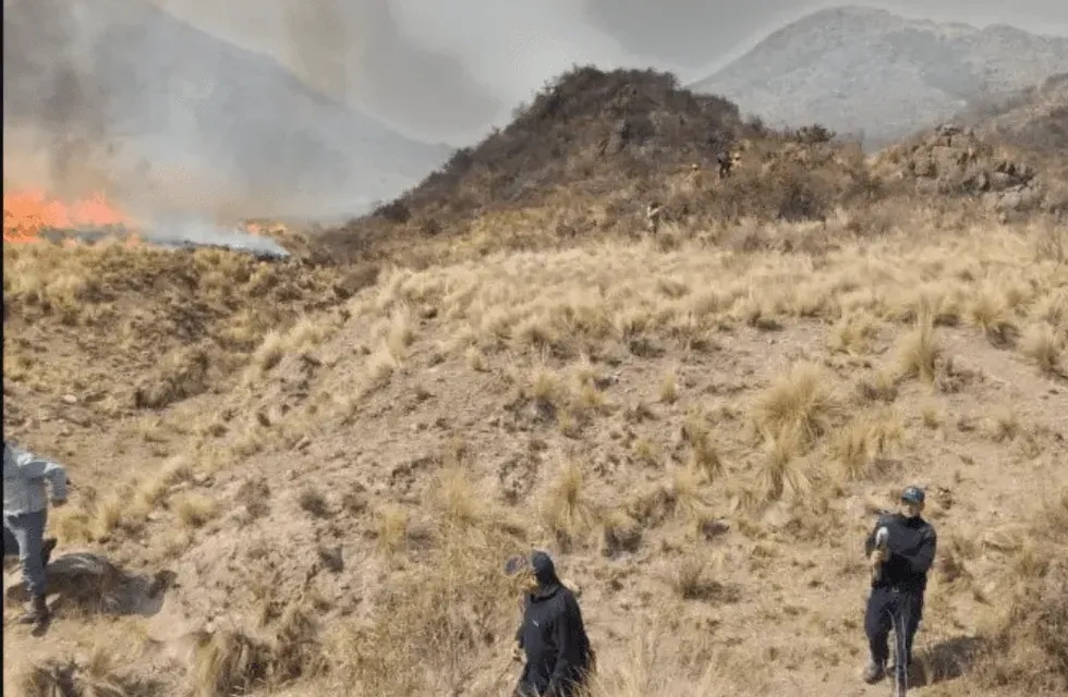 El viento Sur complicó las cosas y extendió las llamas a la zona de Sierras de Chávez y Sierras de Elizondo.